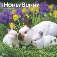 Cover image for Honey Bunny 2025 12 X 24 Inch Monthly Square Wall Calendar Plastic-Free Browntrout Domestic Small Cute Animals