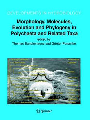 Cover image for Morphology, Molecules, Evolution and Phylogeny in Polychaeta and Related Taxa