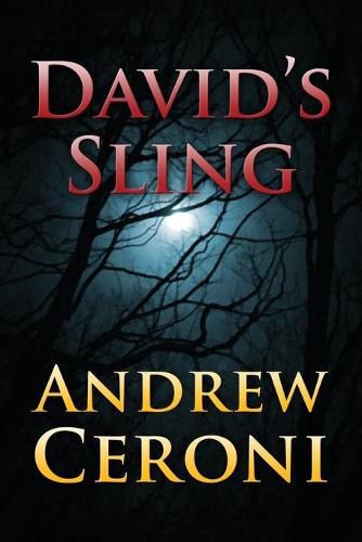 Cover image for David's Sling