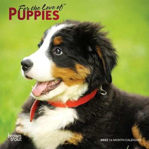Cover image for Puppies, for the Love of 2022 Mini