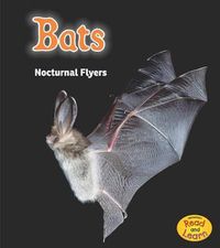 Cover image for Bats: Nocturnal Flyers (Night Safari)