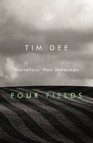 Cover image for Four Fields