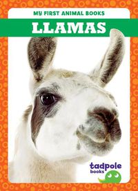 Cover image for Llamas