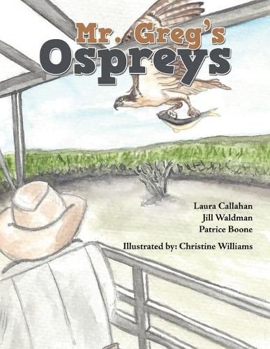 Cover image for Mr. Greg's Ospreys