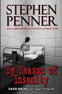 Cover image for By Reason of Insanity: David Brunelle Legal Thriller #3