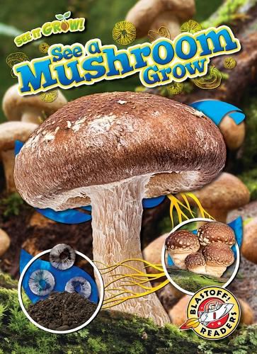 Cover image for See a Mushroom Grow