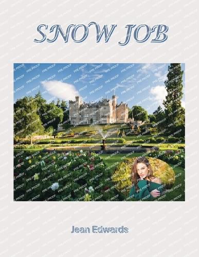 Cover image for Snow Job