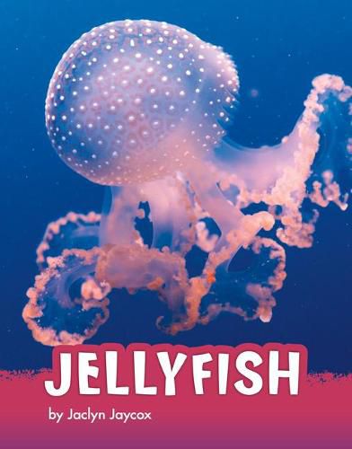 Cover image for Jellyfish
