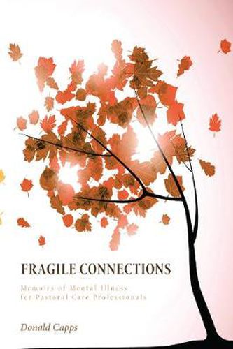 Cover image for Fragile Connections: Memoirs of Mental Illness for Pastoral Care Professionals