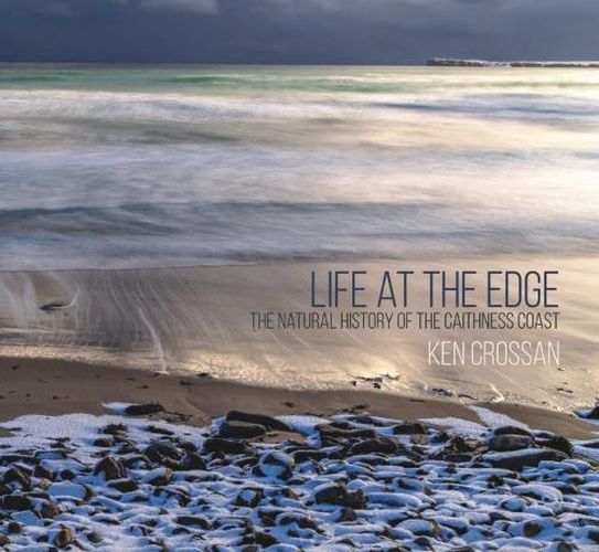 Cover image for Life at the Edge