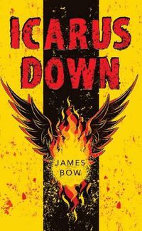 Cover image for Icarus Down