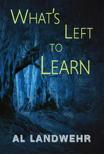 Cover image for What's Left to Learn