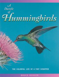 Cover image for A Dazzle of Hummingbirds: The Colorful Life of a Tiny Scrapper