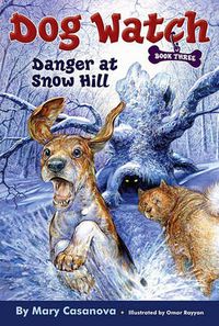 Cover image for Danger at Snow Hill