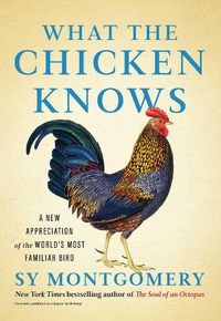 Cover image for What the Chicken Knows