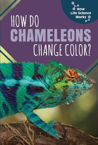 Cover image for How Do Chameleons Change Color?