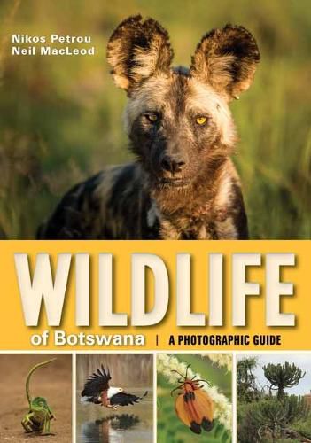 Cover image for Wildlife of Botswana