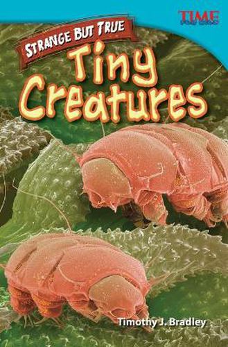 Cover image for Strange but True: Tiny Creatures