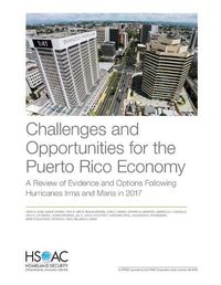 Cover image for Challenges and Opportunities for the Puerto Rico Economy: A Review of Evidence and Options Following Hurricanes Irma and Maria in 2017