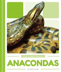 Cover image for Rain Forest Animals: Anacondas