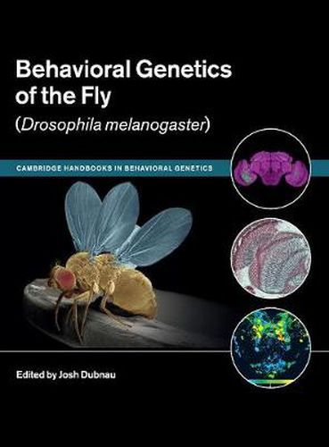 Cover image for Behavioral Genetics of the Fly (Drosophila Melanogaster)