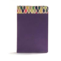 Cover image for CSB Rainbow Study Bible, Purple LeatherTouch