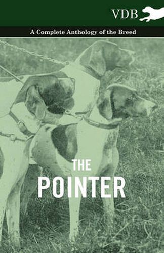 Cover image for The Pointer - A Complete Anthology of the Breed