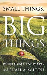 Cover image for Small Things, Big Things: Inspiring Stories of Everyday Grace