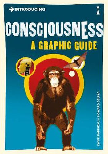 Cover image for Introducing Consciousness: A Graphic Guide