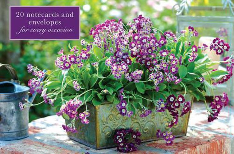 Cover image for Card Box of 20 Notecards and Envelopes: Primula