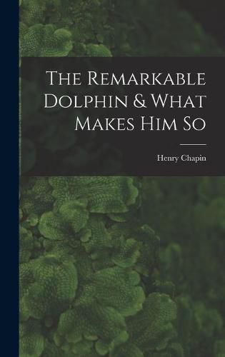 Cover image for The Remarkable Dolphin & What Makes Him So