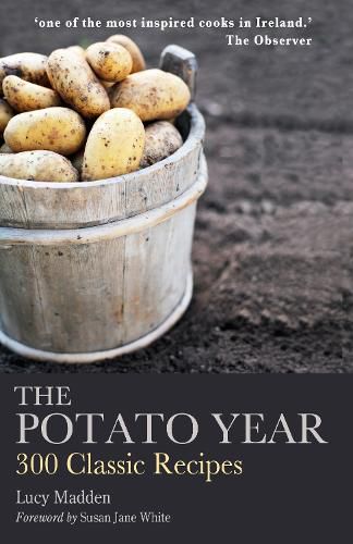 Cover image for The Potato Year