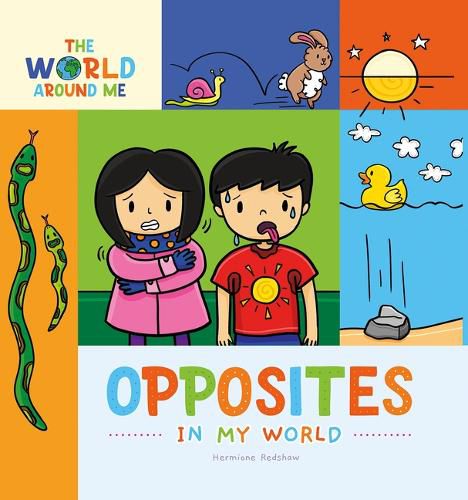 Cover image for Opposites in My World