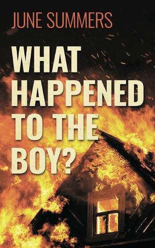 Cover image for What Happened to the Boy?