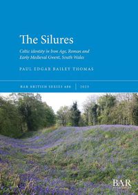 Cover image for The Silures