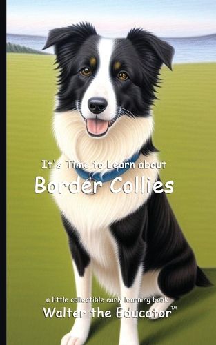 Cover image for It's Time to Learn about Border Collies