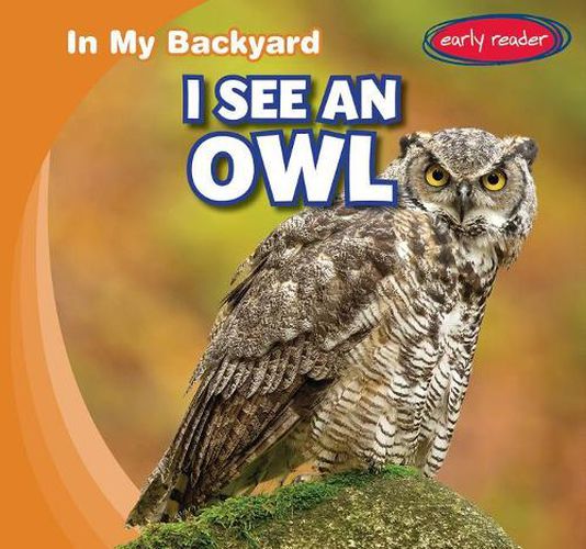 Cover image for I See an Owl