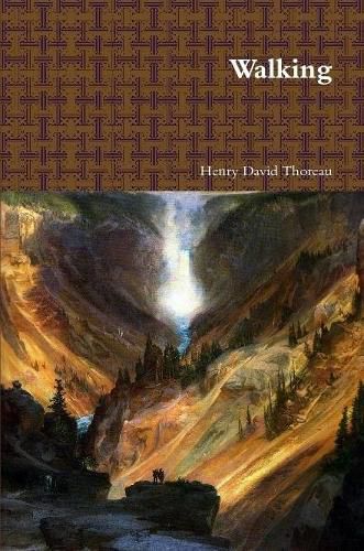 Cover image for Walking
