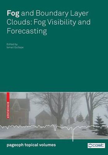 Cover image for Fog and Boundary Layer Clouds: Fog Visibility and Forecasting