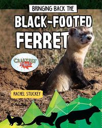 Cover image for Bringing Back the Black-Footed Ferret