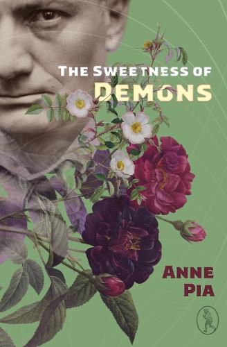 Cover image for The The Sweetness of Demons