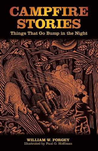 Cover image for Campfire Stories: Things That Go Bump In The Night