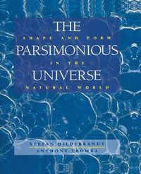 Cover image for The Parsimonious Universe: Shape and Form in the Natural World