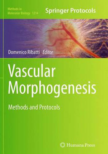 Cover image for Vascular Morphogenesis: Methods and Protocols