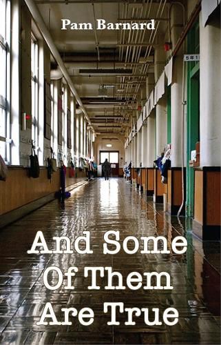 Cover image for And Some Of Them Are True