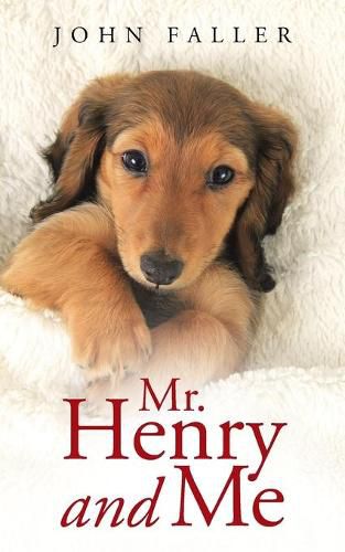 Cover image for Mr. Henry and Me