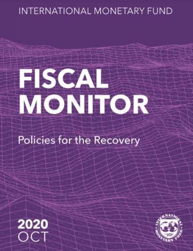 Fiscal monitor: policies for the recovery