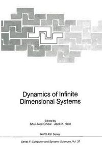 Cover image for Dynamics of Infinite Dimensional Systems