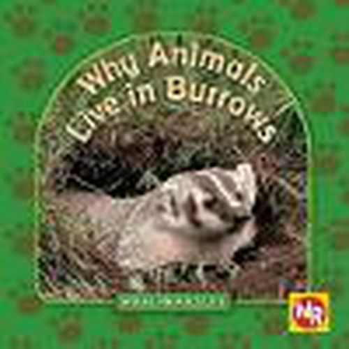 Cover image for Why Animals Live in Burrows