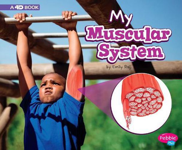 Cover image for My Muscular System: A 4D Book